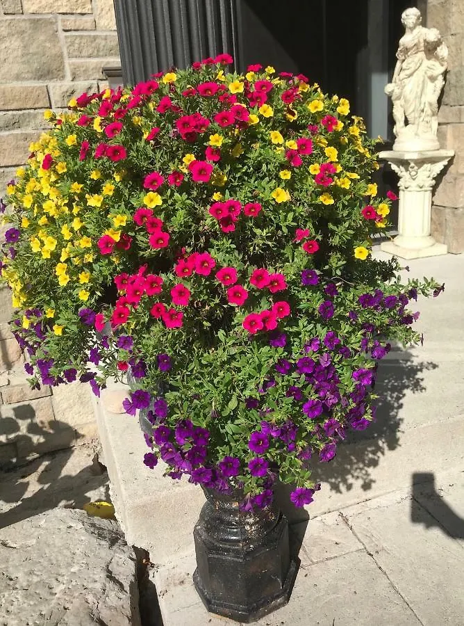 Morning Fresh Homestay Toronto Canada